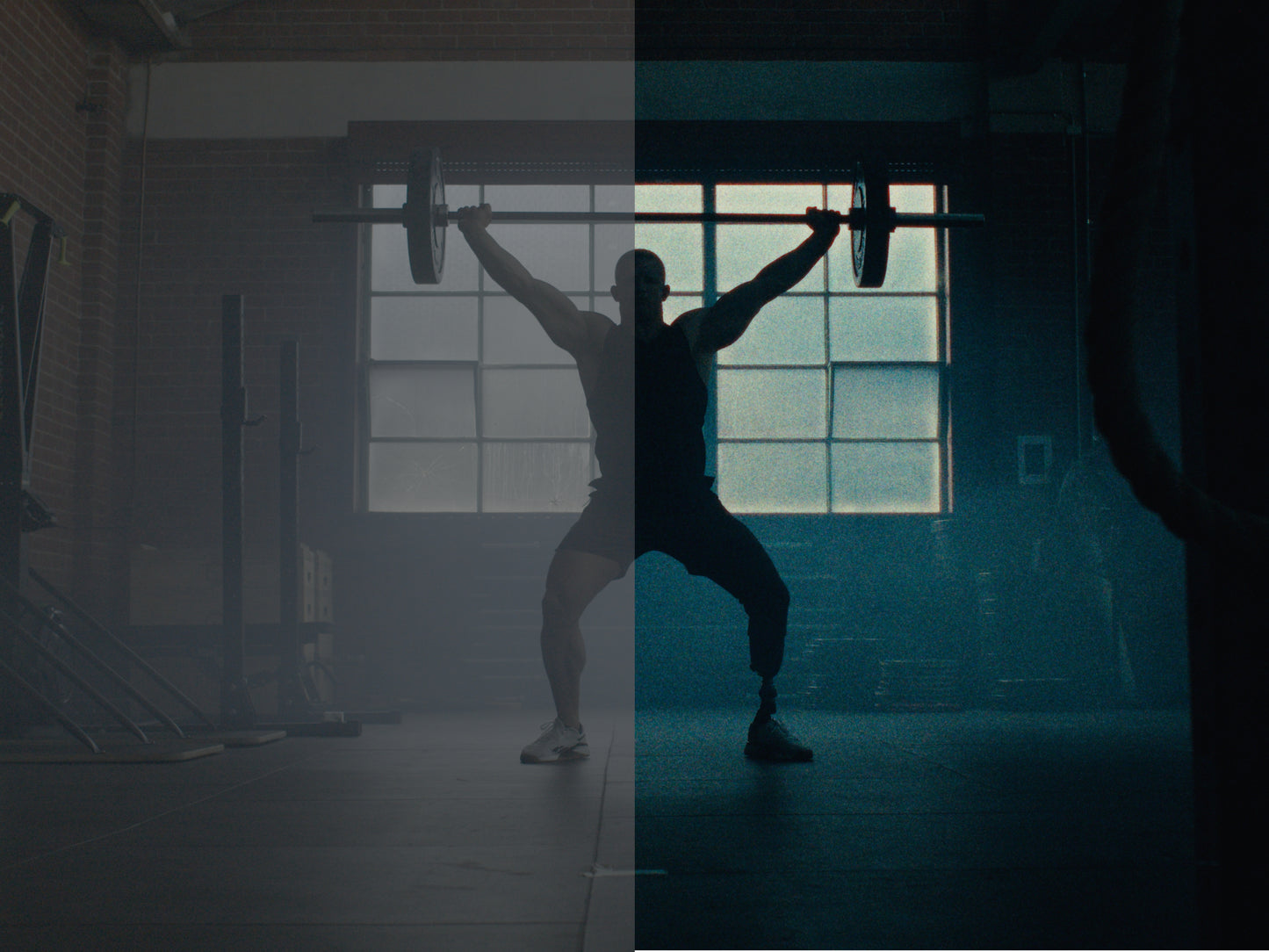 CineTone Lut - Camera & iPhone Bundle - SAVE 15%