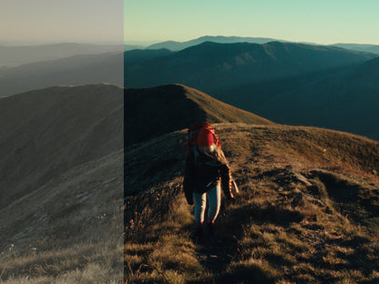 CineTone Lut - Camera & iPhone Bundle - SAVE 15%